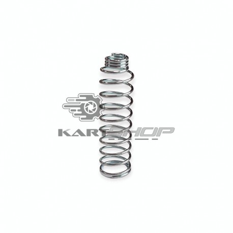 https://www.kartshopfrance.com/3899-large_default/ressort-de-rappel-carburateur-a-compression.jpg